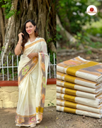 Pochampally Royal look Saree